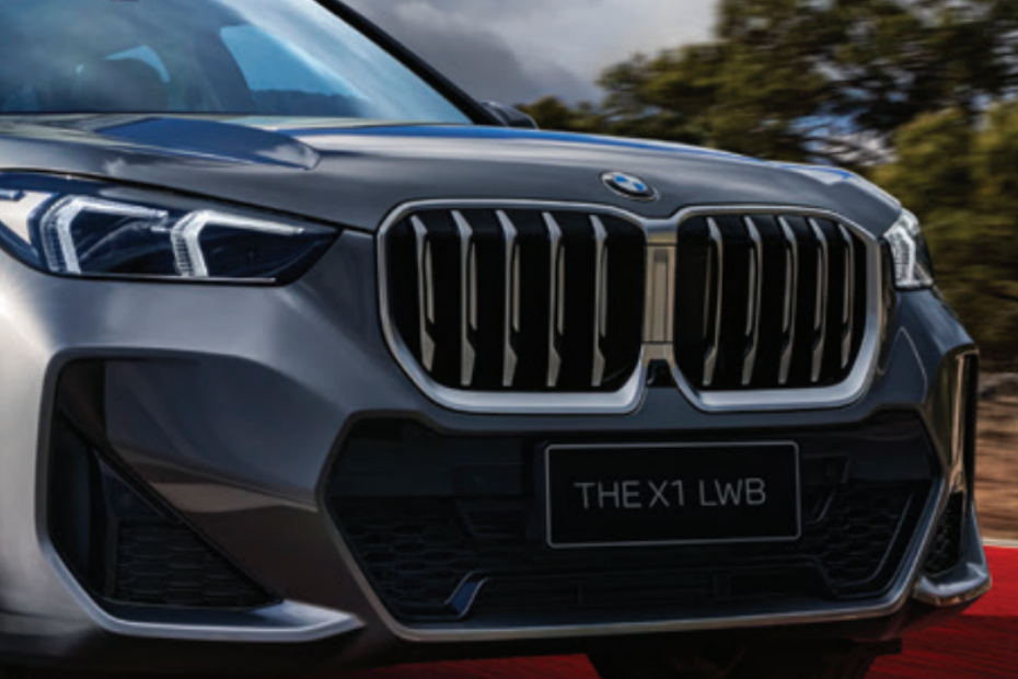 Signature BMW Grille