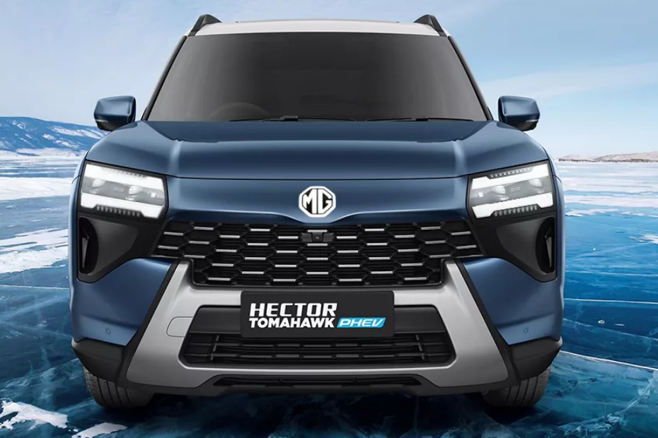 Hawk X Grille