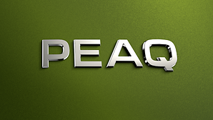 Skoda Peaq New 7-Seater EV Confirmed as New Flagship SUV