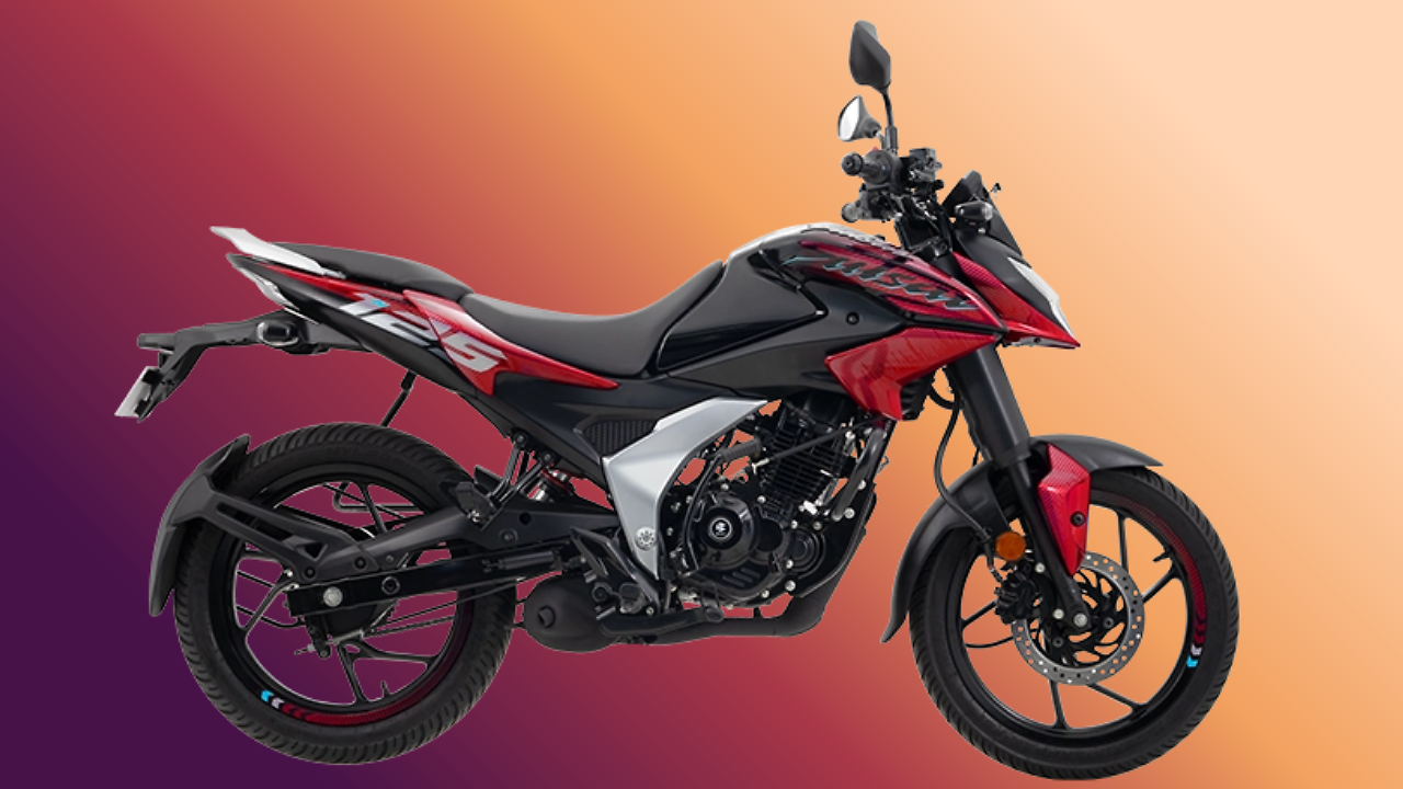 Pulsar N125 Side Design