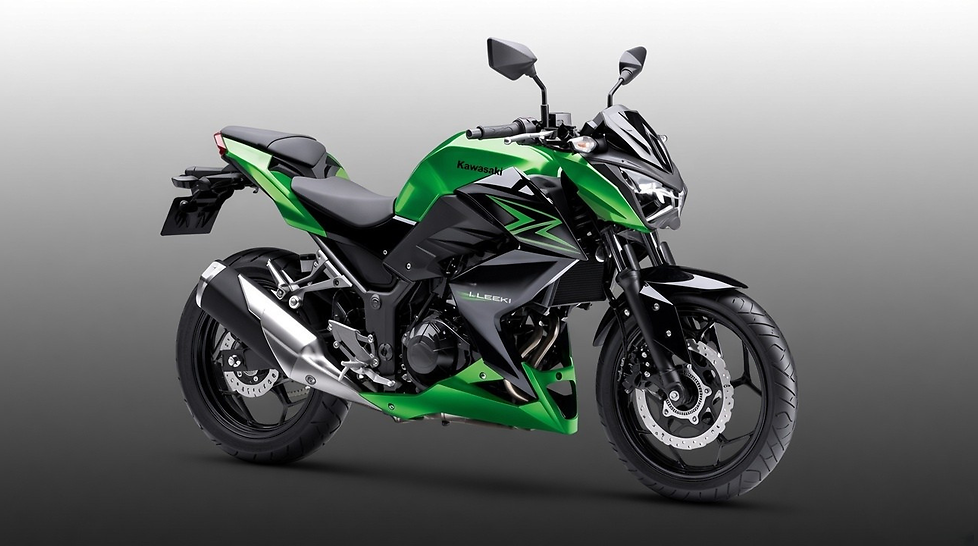 Kawasaki Z300 Debuts in India Expected Launch Date Price and More